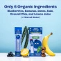 Sweet Nothings Organic Kids Smoothie Blueberry With Kale, 6 Pack