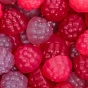 SmartSweets Low Sugar Gummies Wild Berries Candy Lifestyle 1