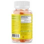 Back of SUKU Vitamins Anti Inflammatory Tumeric Curcuma Gummies Lemon Lime - Vitamins For Inflammation In Joints - Natural Anti Inflammatory Supplements - Turmeric Benefits