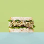 The Grain Escape Grain Free Bread Gluten Free Bread Paleo Bread Low FODMAP Bread Whole Wheatless Bread
