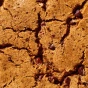Toto Gluten-Free Protein Cookie Peanut Butter Chocolate Chip - No Eggs Peanut Butter Cookies - High Protein Cookie - Gluten Free Cookie