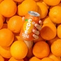 Cove Soda Fruity Variety Pack Gut Healthy Soda - Healthy Soda - Probiotic Drink Canada - Probiotic Soda