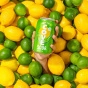 Cove Soda Variety Pack Gut Healthy Soda - Healthy Soda - Probiotic Drink Canada - Probiotic Soda