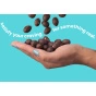 Unreal Dark Chocolate Coconut Almonds Dark Chocolate Covered Almonds - Dark Chocolate Almonds - Almonds With Dark Chocolate