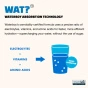 Waterboy Electrolytes - Waterboy Hydration - Sugar Free Electrolytes - Hangover Electrolytes - Electrolytes Sample Pack